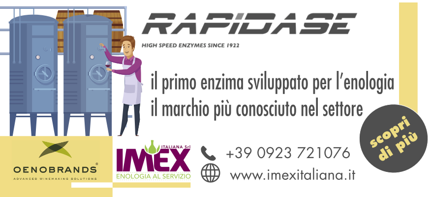 Rapidase evidenza