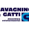 Cavagnino e Gatti