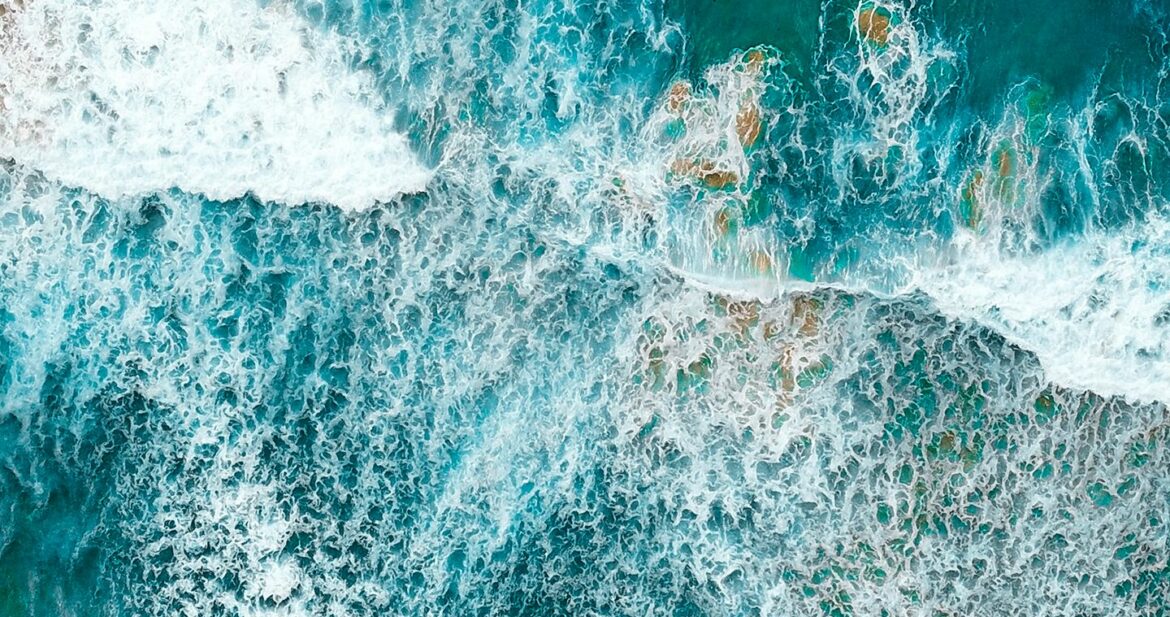 will-turner-KGc9MaDmjtI-unsplash will-turner-KGc9MaDmjtI-unsplash