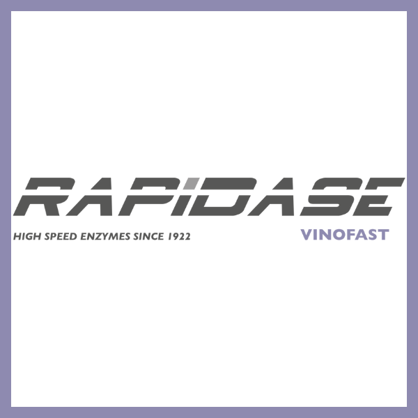 RAPIDASE VINOFAST